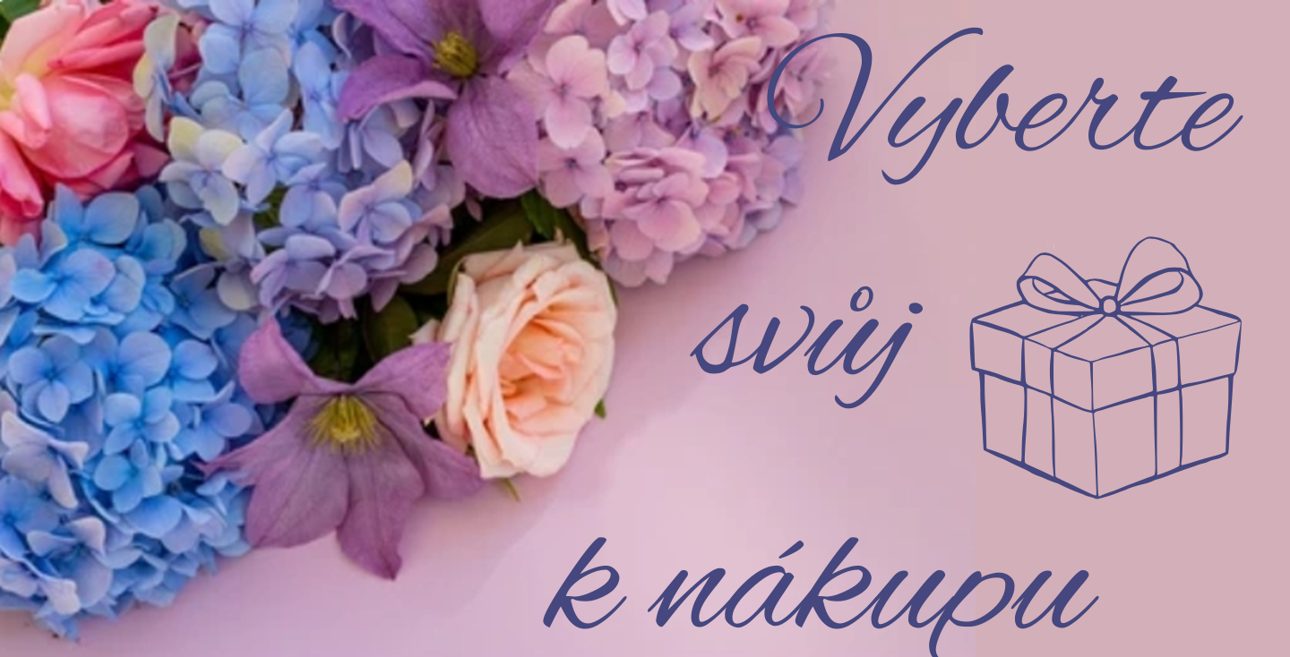 Canva Design (18)